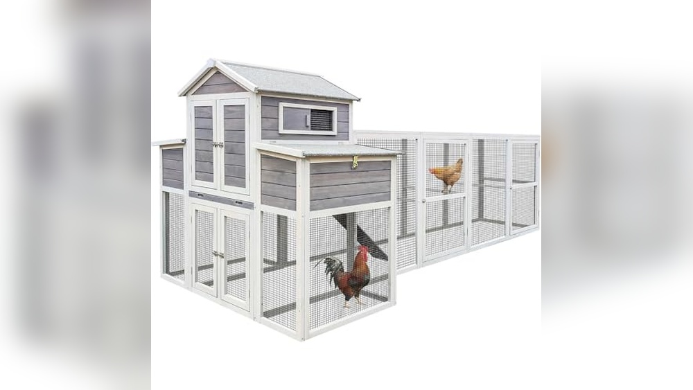 Chicken Coop for 15 Birds