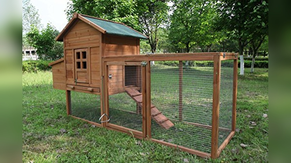 Chicken Coop for 4 Birds