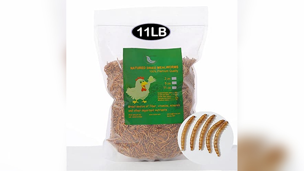 Chicken Tractor Size for 25 Meat Birds
