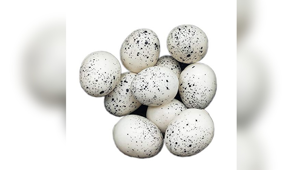 Eggland'S Best Eggs Bird Flu