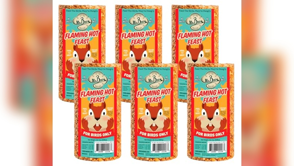 Flaming Hot Bird Seed Cylinder