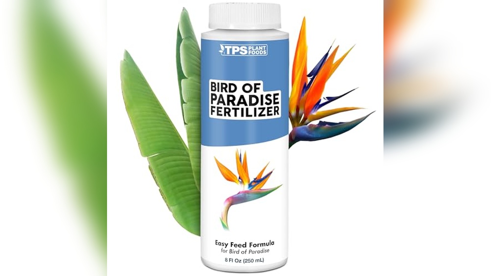 Food for Bird of Paradise Plant