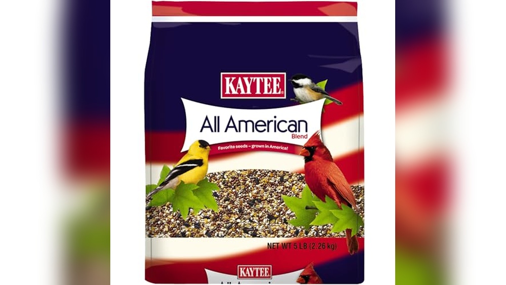 Food for Birds at Home
