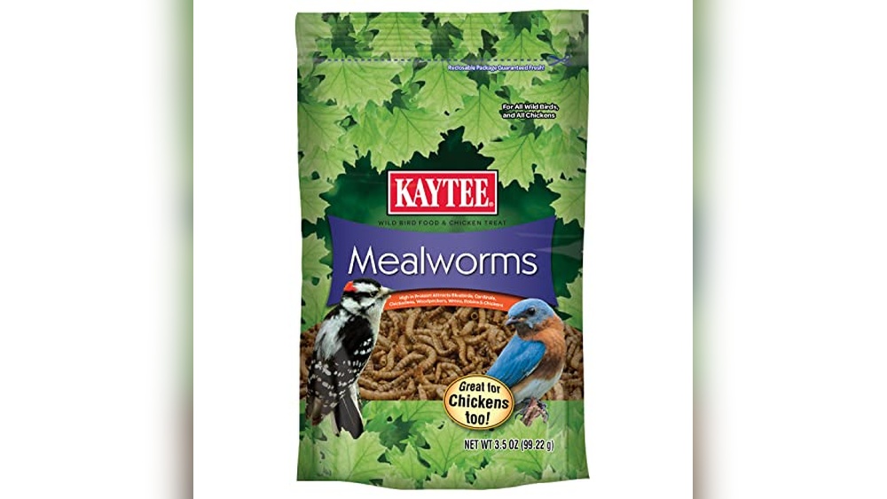 Food for Robins Bird Food