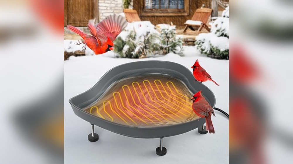 Heated Bird Bath Fountain