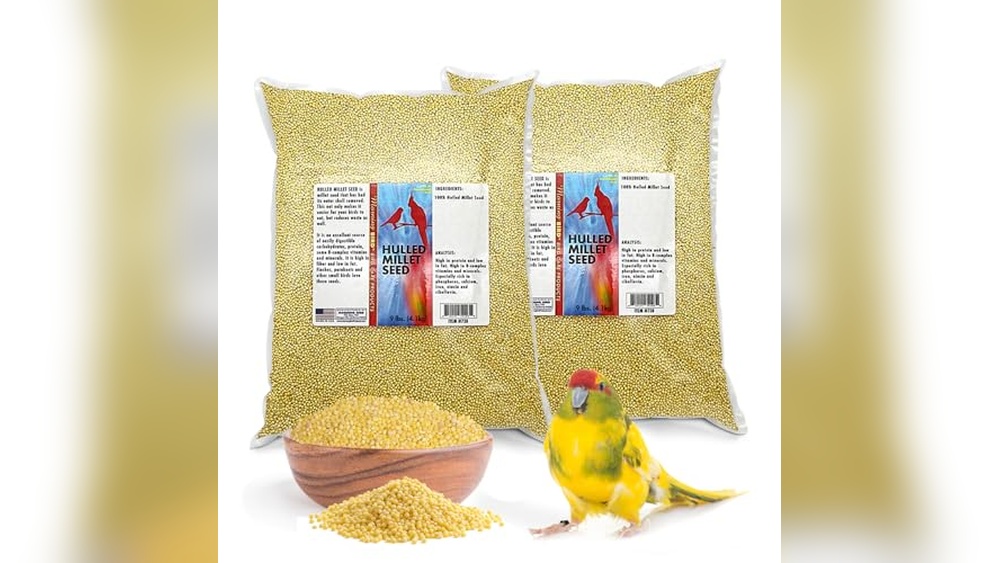 Hulled Millet Bird Seed