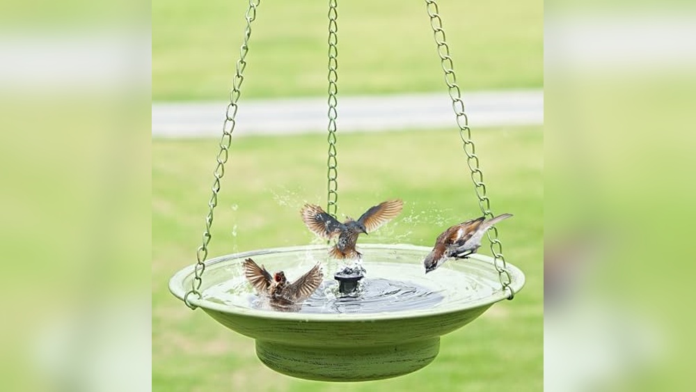 Hummingbird Fountain Bird Bath