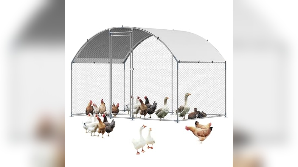 Meat Bird Chicken Coop