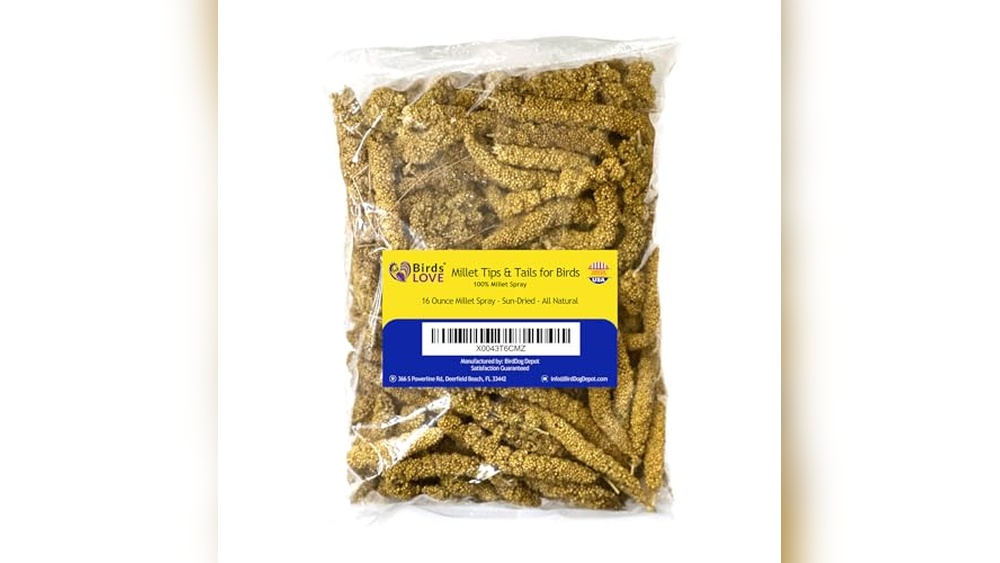 Millet Food for Birds