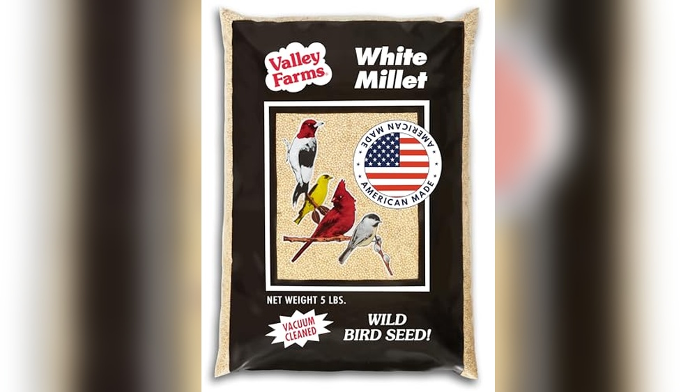 Millet Free Bird Seed