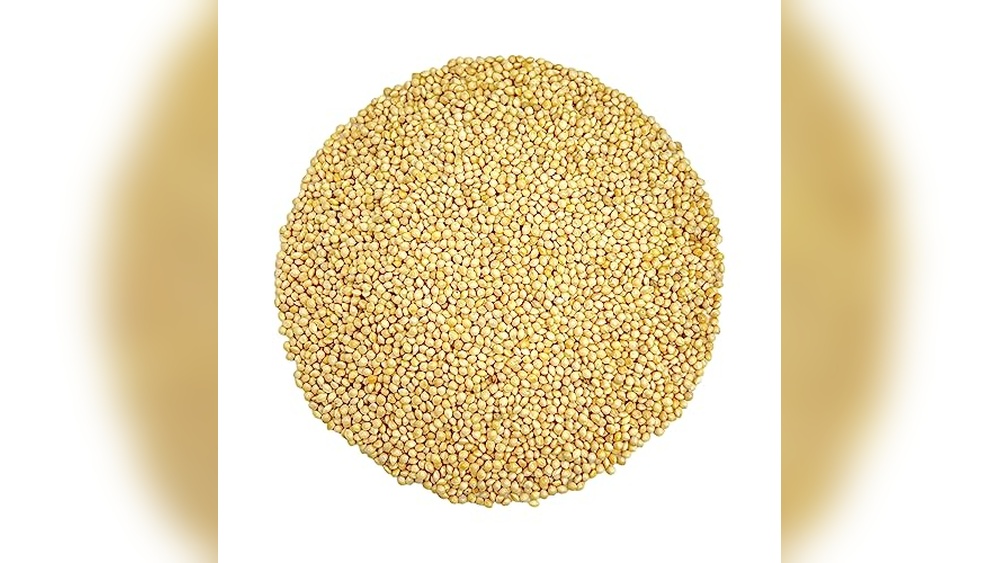 Millet Seed for Birds