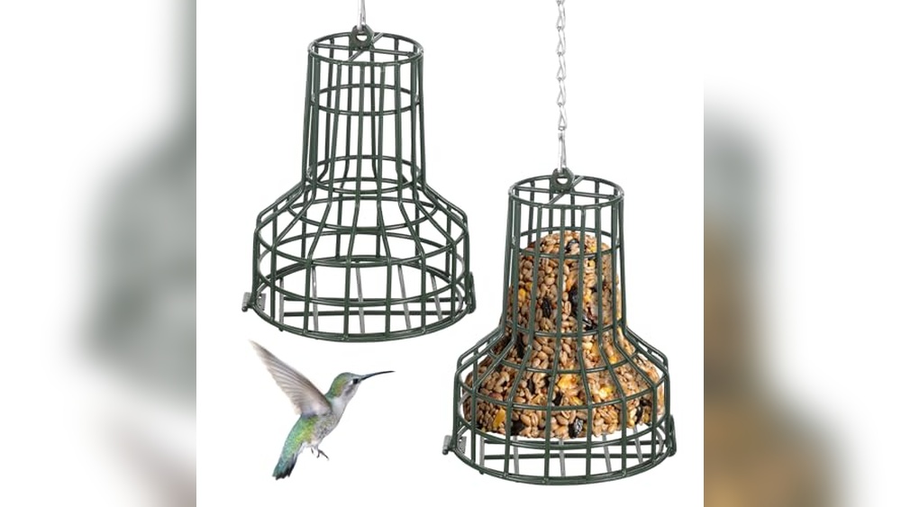Mr Bird Seed Bell Hanger