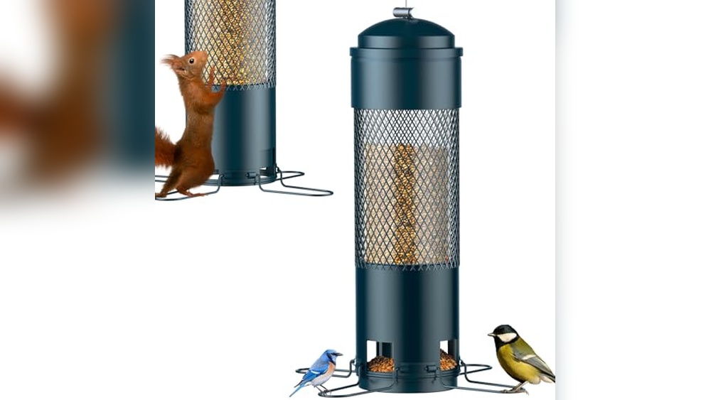 Seed Bird Feeder Squirrel Proof