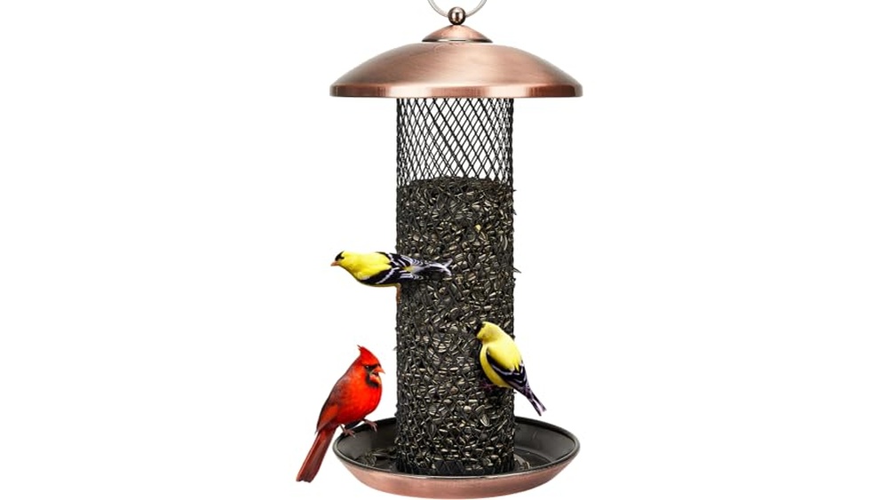 Sunflower Seed Bird Feeder