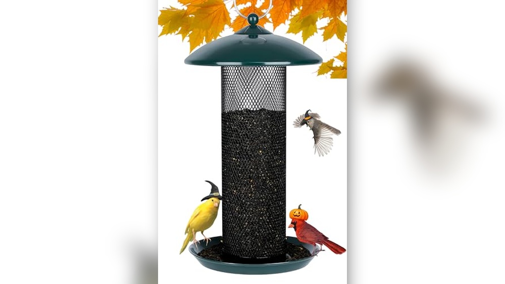 Thistle Bird Seed Feeder