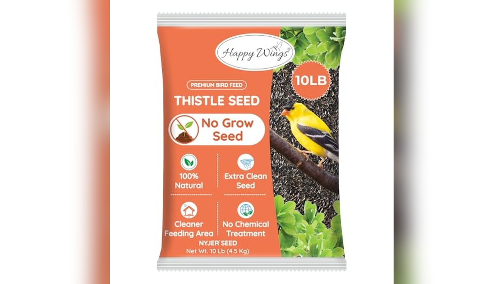 Thistle Food for Birds