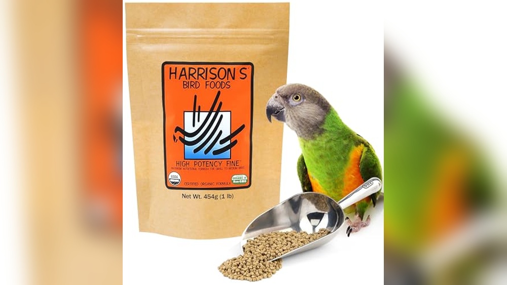 Tom Chambers Bird Food