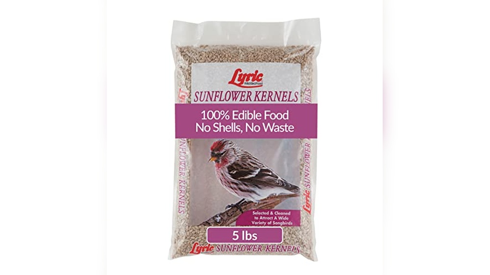Wild Bird Seed Without Sunflower Seeds